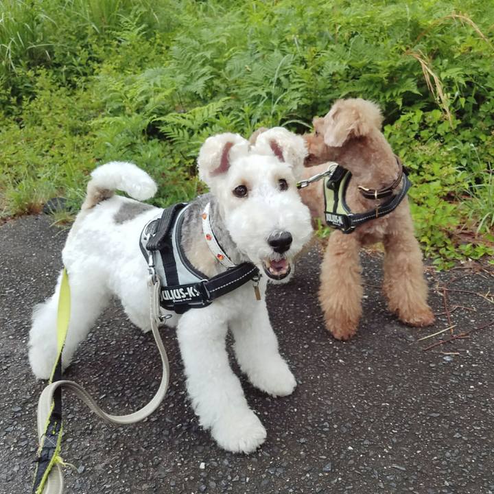 7ff68a61 d4d8 48f1 a1fd 496ea4777ae1