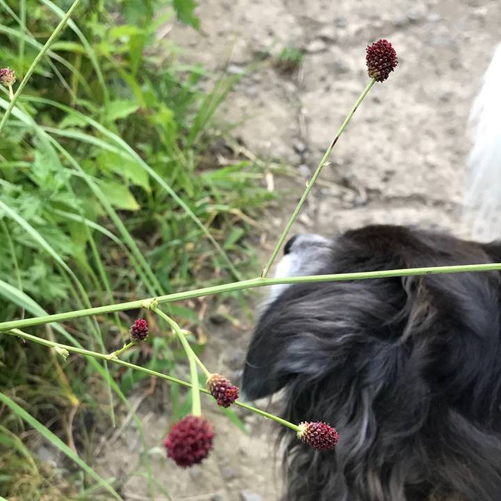 7ff6d175 882b 449b 80ce fdd16a58f52a