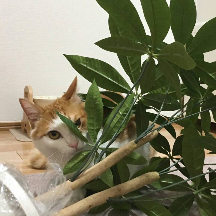 7ff73ab7 a1b1 415e 8a9b ed0f250b9bc6