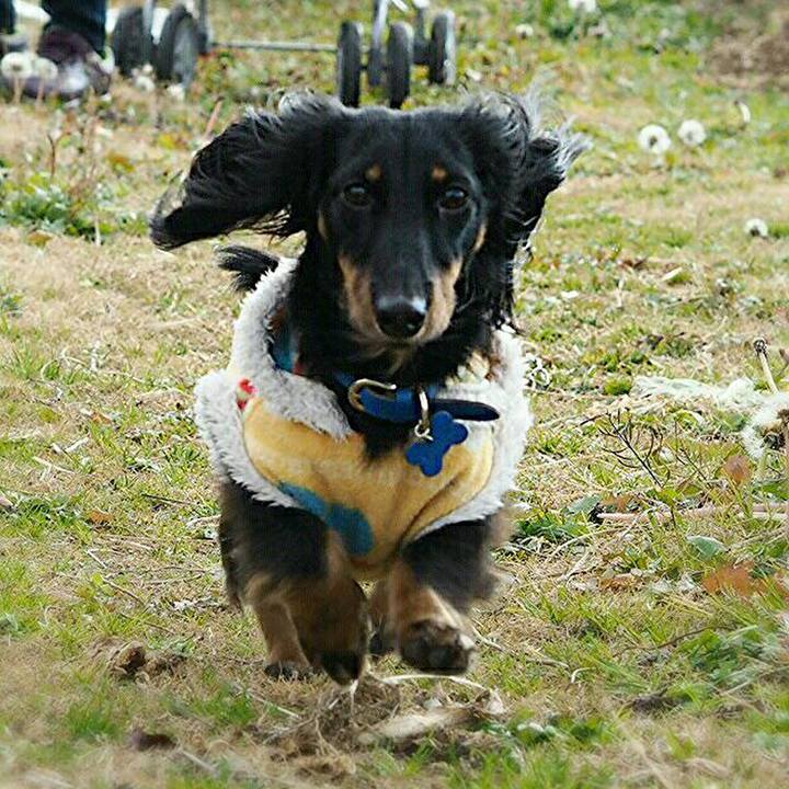 7ff74c7a fe2f 4808 978b dc4b424beaf3