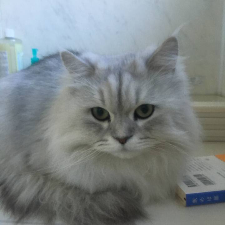 7ff765c4 449a 47ec 8636 b67ccdafad59