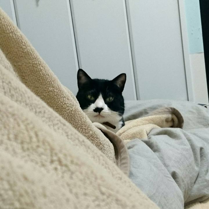 7ffa6131 9c93 4081 9bfb bd826b0b1470