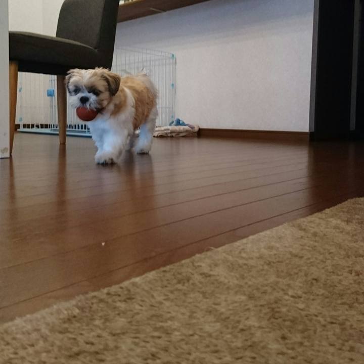 7ffa8dbf 04e0 45b0 9029 87920e550690