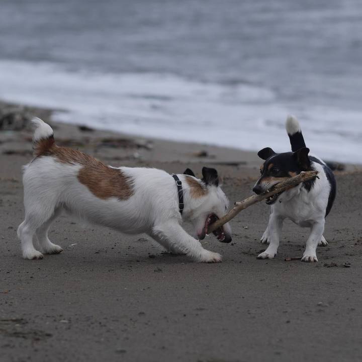 7ffad5e3 c96d 4fe3 bd4a 2796b77d8200