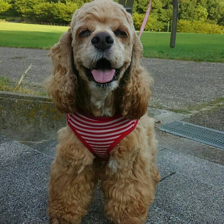 7ffb0421 088c 4393 bd7d c3fb95838a4d