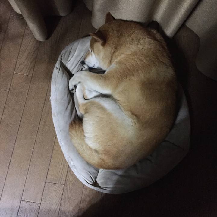 7ffb0a76 68b6 4e5b 8db9 a6f10b699da3