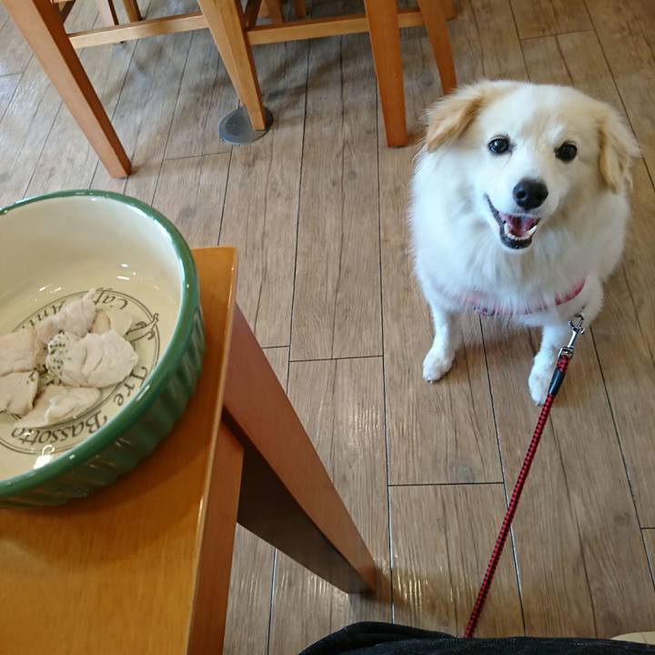 7ffb1032 68ec 4fda bdcd 9400b0d788fb