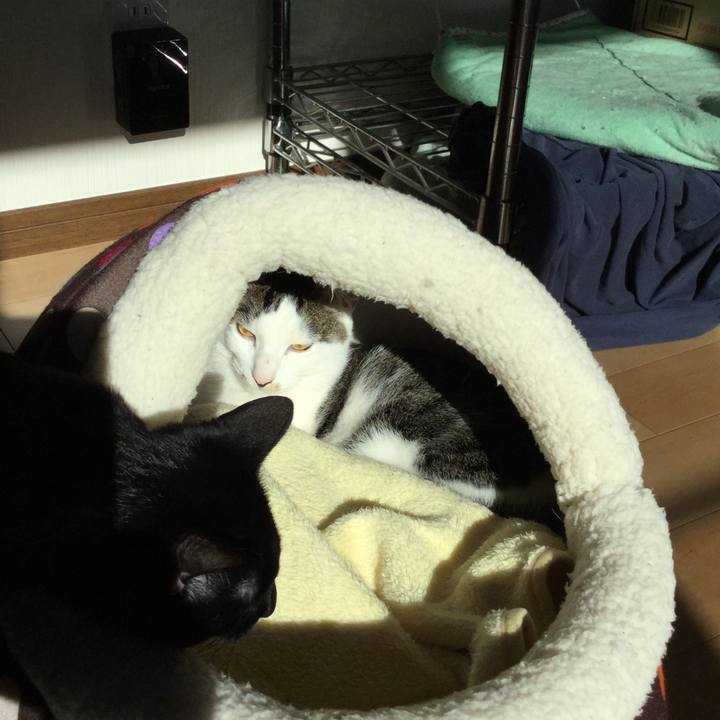 7ffb1ba8 999a 441d a3a3 1ed941e3441e