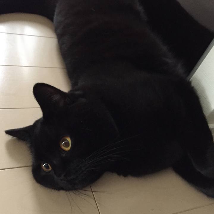 7ffb6820 8e0a 4d45 bf9d 6f5fa46fe8ae