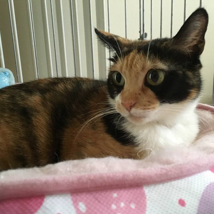 7ffbdd44 8e95 4496 b279 a75d1b4d8198