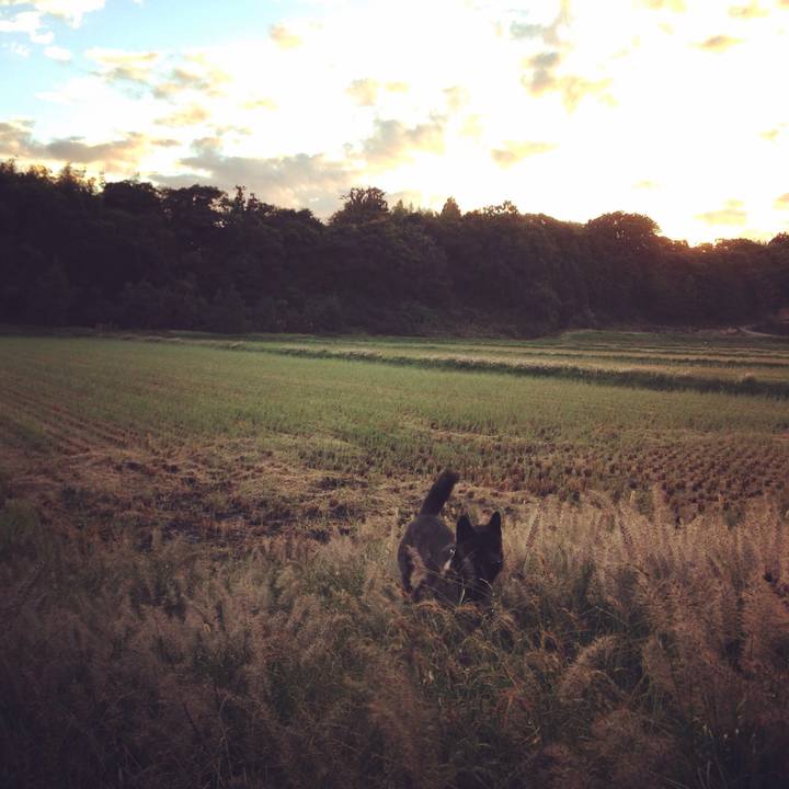 7ffc5843 d4aa 4485 9214 792ba04d56e0