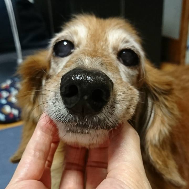 7ffd0922 68e7 4f49 847f b8b98697ebf7