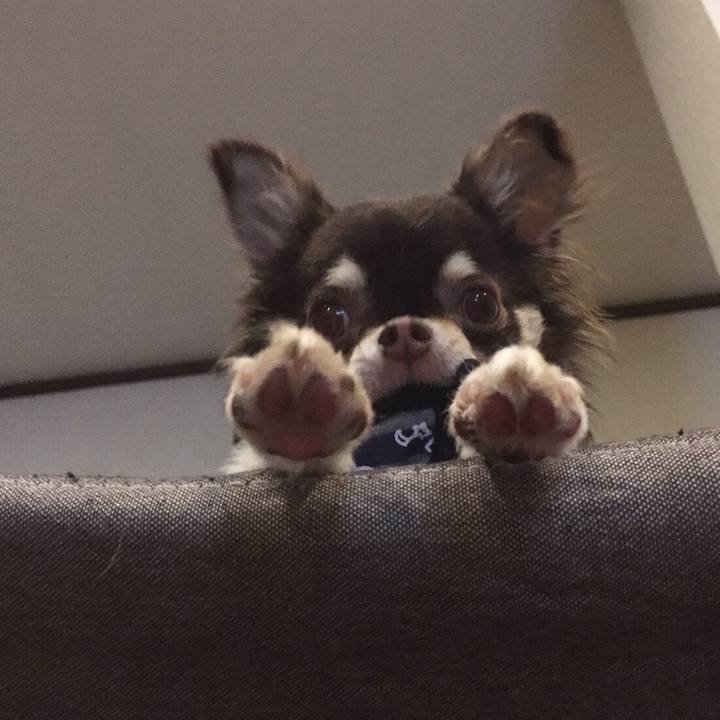 7ffd1f3a 19c0 4cdd ae3d 6fde68c88d74