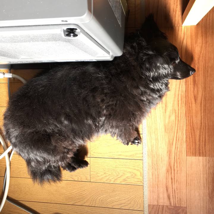 7ffd4478 3a3a 4b76 ad6f 0a2edc303b62