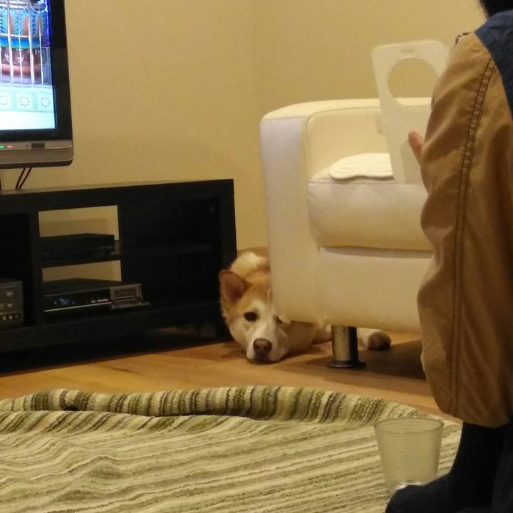 7ffd6b72 afdd 4d58 9c45 088c29c97811