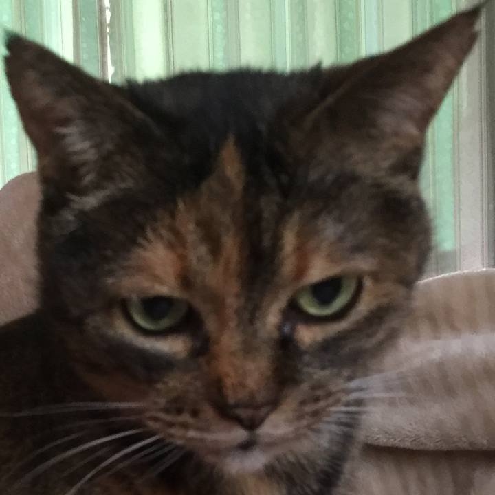 7ffddc4b 3730 4452 bcec be6e6afc4f92