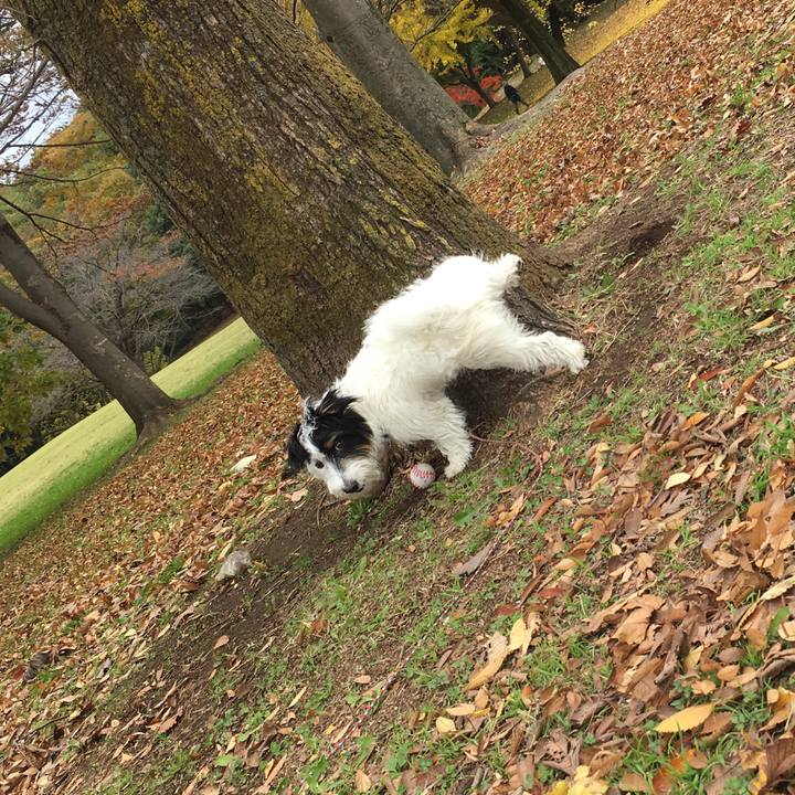 7ffe1107 5b28 401e 9458 000438c1f209