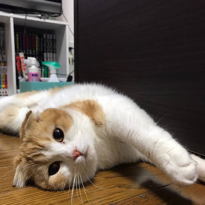 7ffe40b9 b4e5 4917 a57e 6c801c249fac