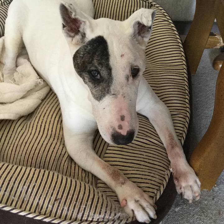 7fffe1cc e704 4714 be41 c7db844e23b0