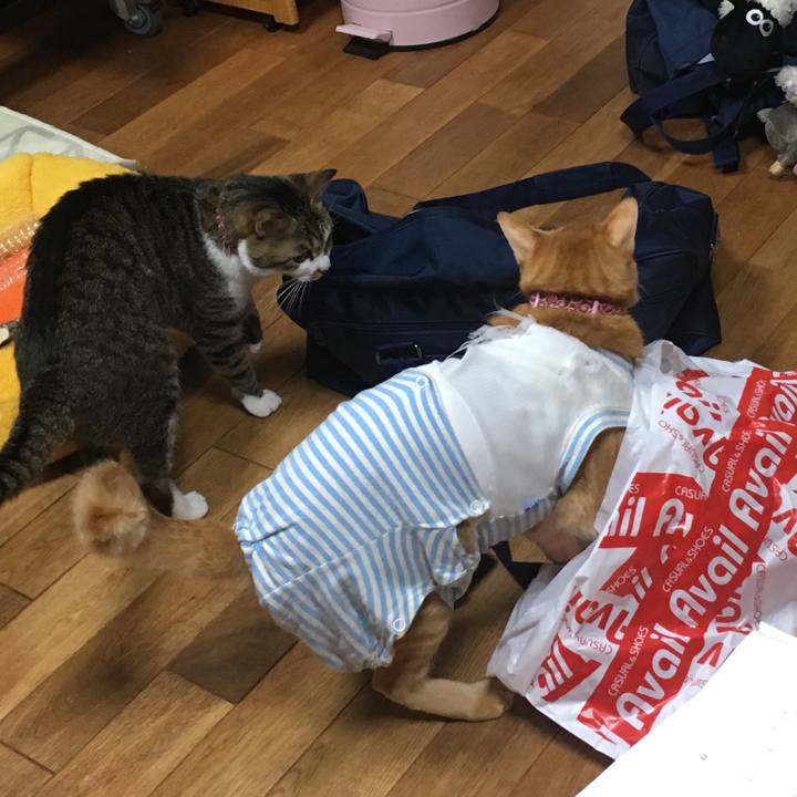 80003df8 98b5 4594 95a8 63c689df273c