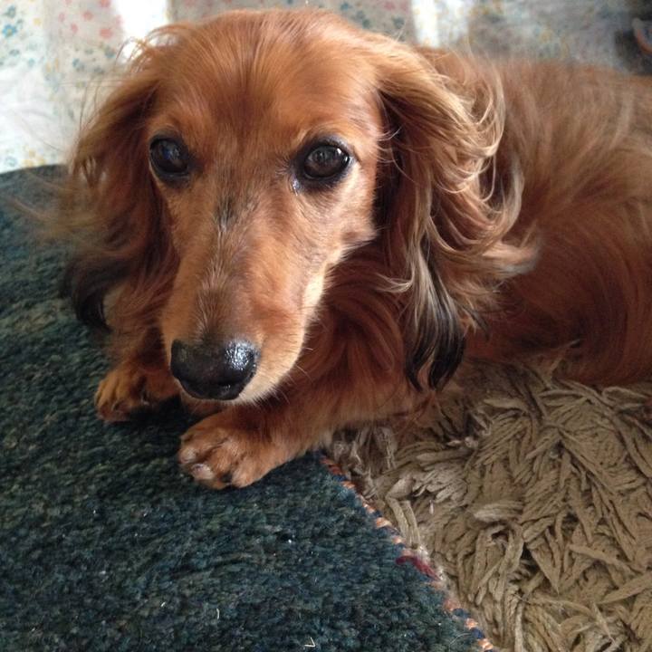 8000e49c 5dfb 4071 b347 48a3c05241d8