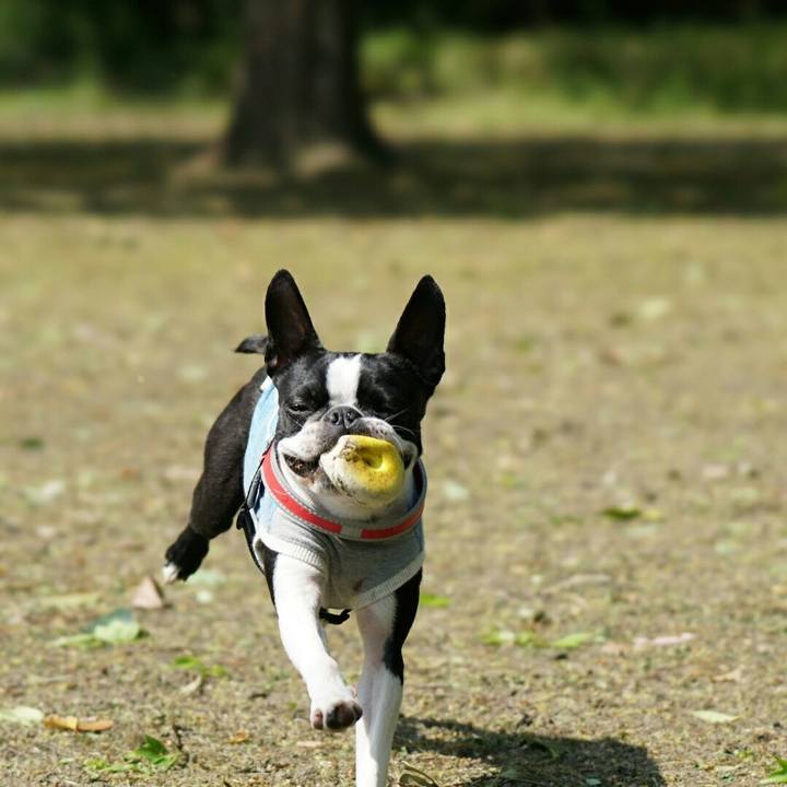 8000f82a 5916 4705 abb4 96a056781d54