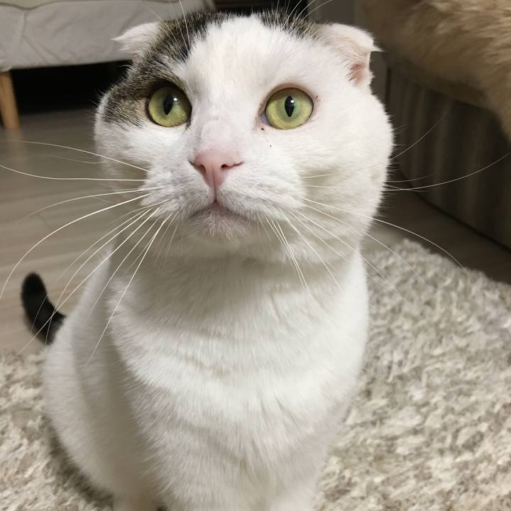 80023749 9f99 49d9 98d6 2df7a5169d37