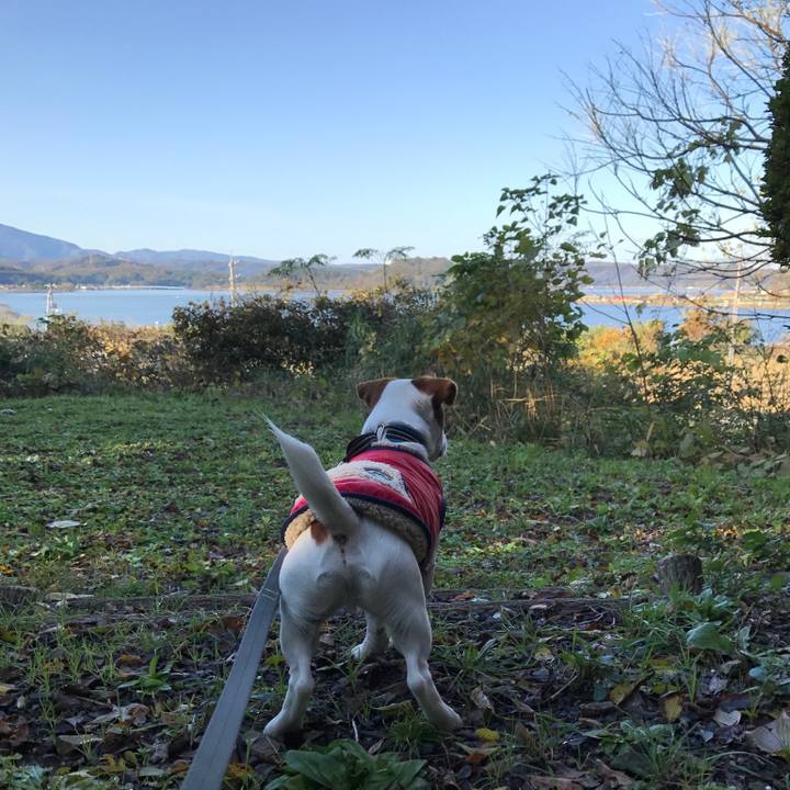 8002e326 a378 4433 ad07 f693129e0fec