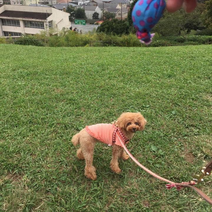 8002fc70 ba92 49e0 b30a 2f6bdf35a55b