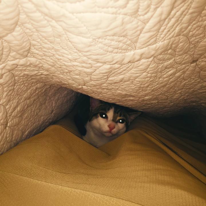 800301b0 4661 4b17 b37c f4561f2e5cf4