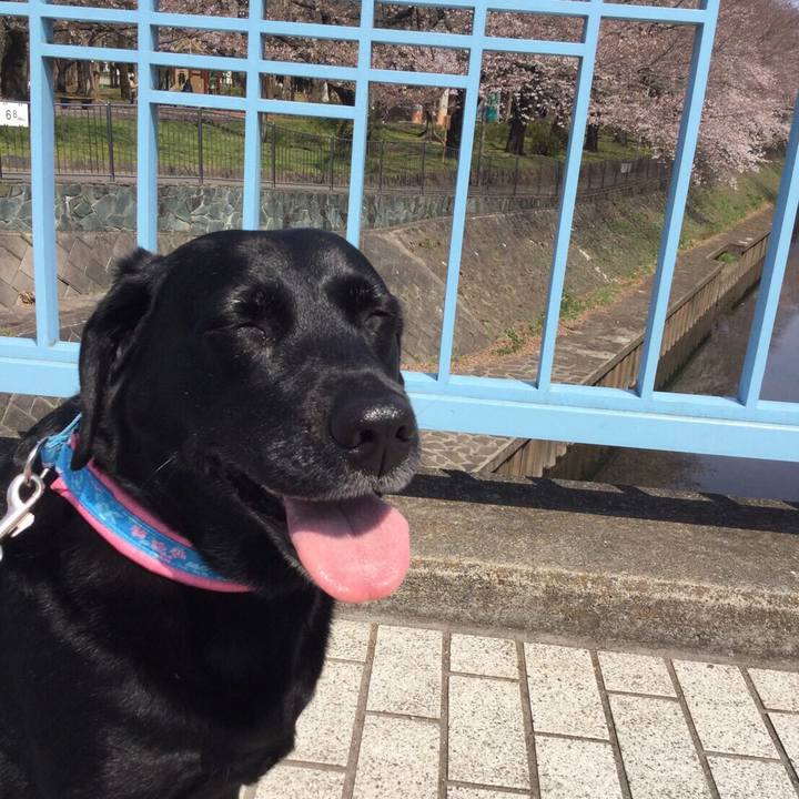 800342bc 7552 4c3a a101 a1b781641e58