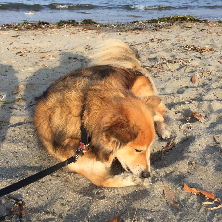 800350cb f243 4d81 b0ab 7a91559438cc