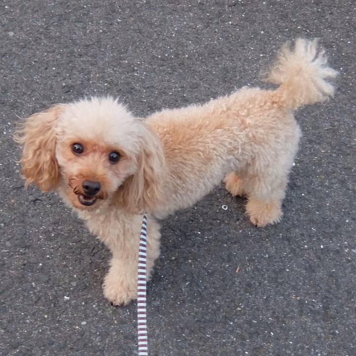 800358d2 e4a0 451f b21a 22385bb198e7