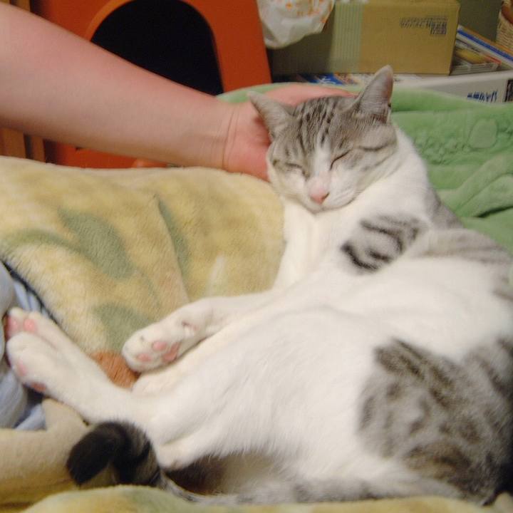 8003ea6c 27d8 4c6c b696 777ec7dcb9a7