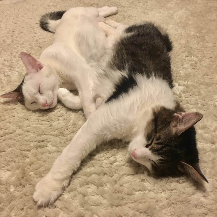 80040187 4090 49d5 afd7 43d8f1776a4d