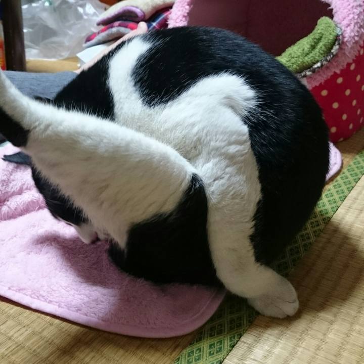 800425b2 f955 4195 97a4 413d8a9af025