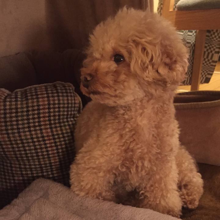 80043d06 107a 47c5 8d6d 095d8932d22b