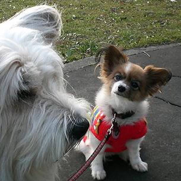 80044e93 fbb7 4453 b818 817e2e7d983a