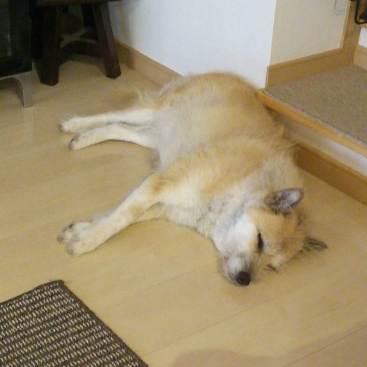 80046078 d7bc 41cf af7b 037e06b246e2