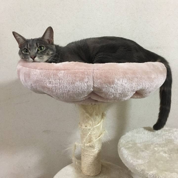 80047cc4 47ba 4a53 96a1 ef02c46d6ecc