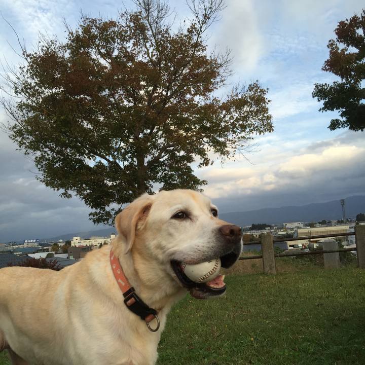 8004a7d4 866e 4162 a82c b819c8ed3e64