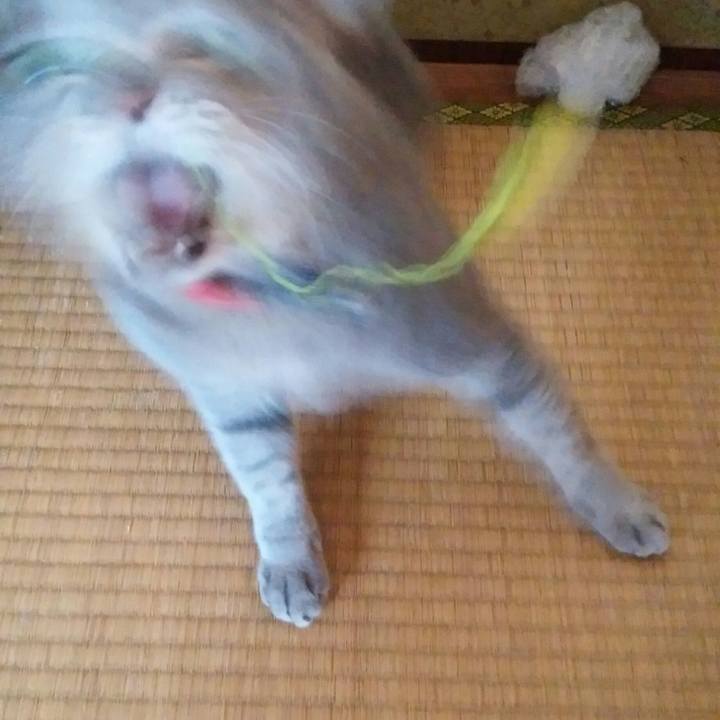 80052266 82ee 4aa1 83eb f01ad25c8354