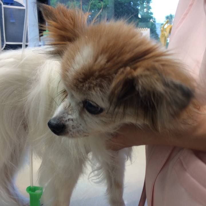 80060212 2460 4949 aff7 8081649a77f6