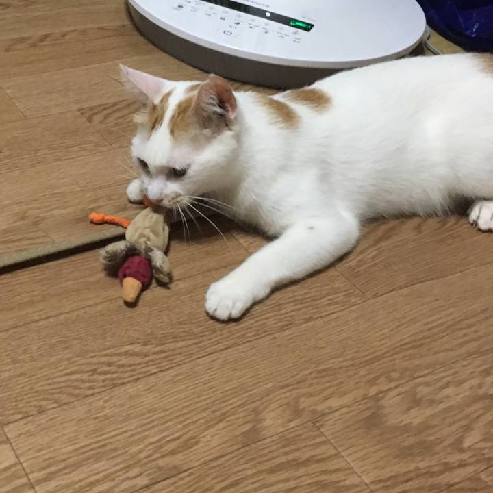 800714ee 1d3e 4ad8 a6c4 cc216e0d8066