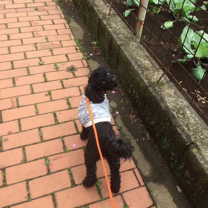 8007420f 248c 4569 bc4b afbe8c35fcd0