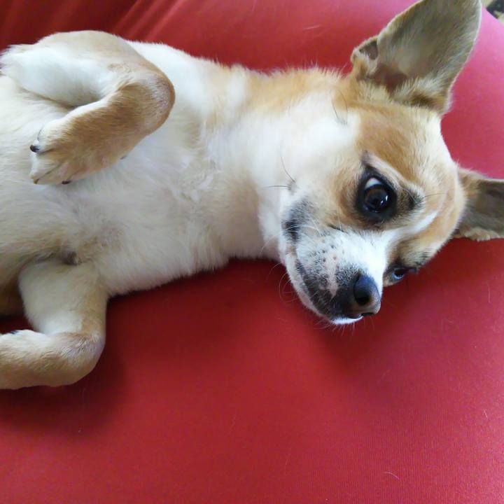 80075600 ed32 4532 9a68 da1045068c46