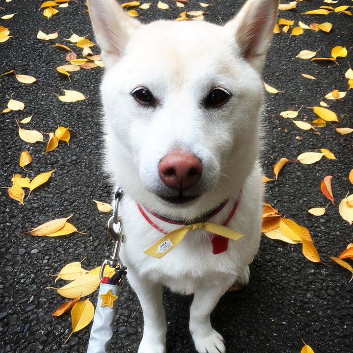 80082578 de86 4c1e 9343 1ff1b393e1d0