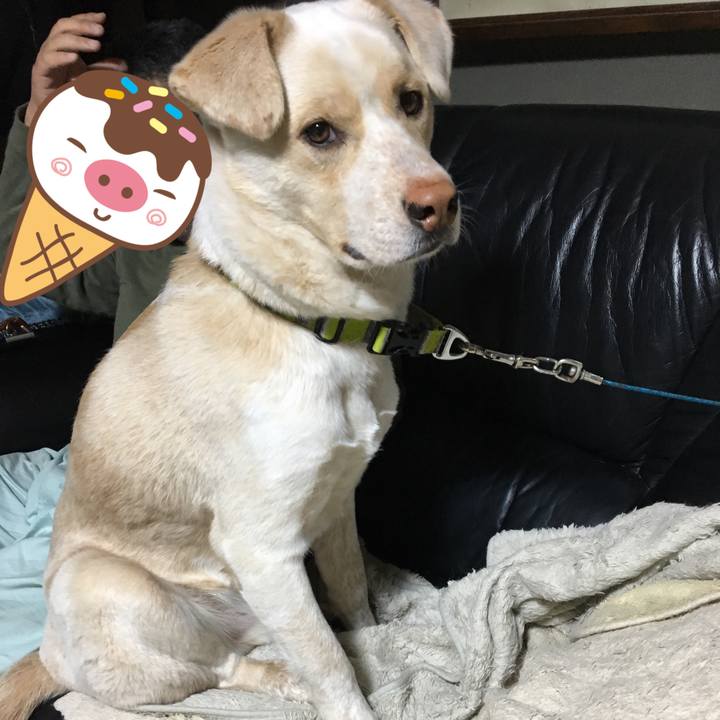 8008552a 9bc2 41b4 a33a c61532ed0187