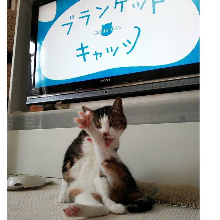 8008d5c2 3228 4aaf 951a 31daadfbfbc5