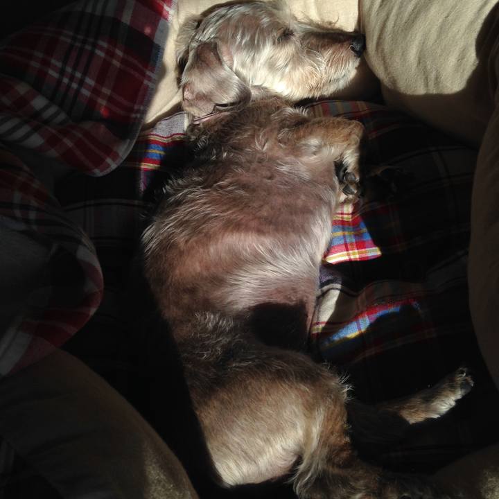 80096bbc 8d47 40e8 bb79 b34746196073